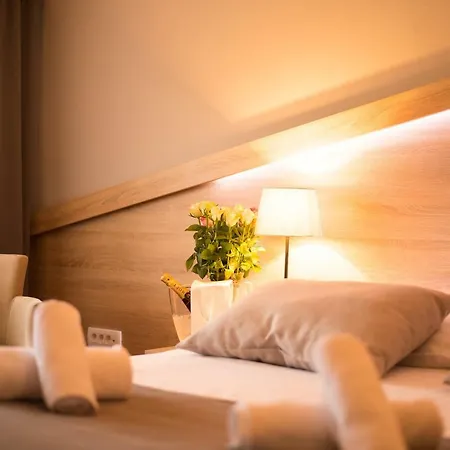 Hotel Dolenjc 3*
