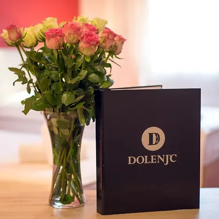 Отель Dolenjc
